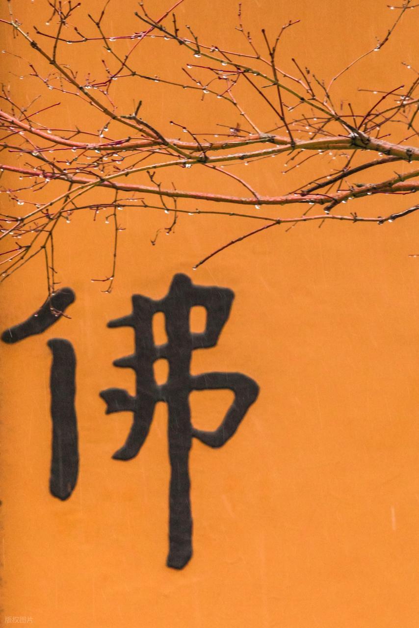 不知所措，心亂如麻。始信勁草勝嬌花打一个准确生肖的警惕虚假宣传-全面释义、构建解答解释落实