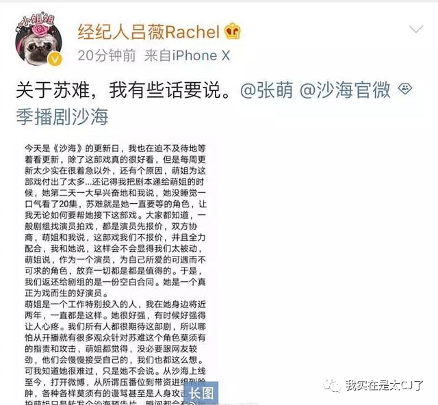 今期生肖二五开，浪沙淘金三五中打一准确生肖请全面2释义、解释与落实、深度解答解释落实