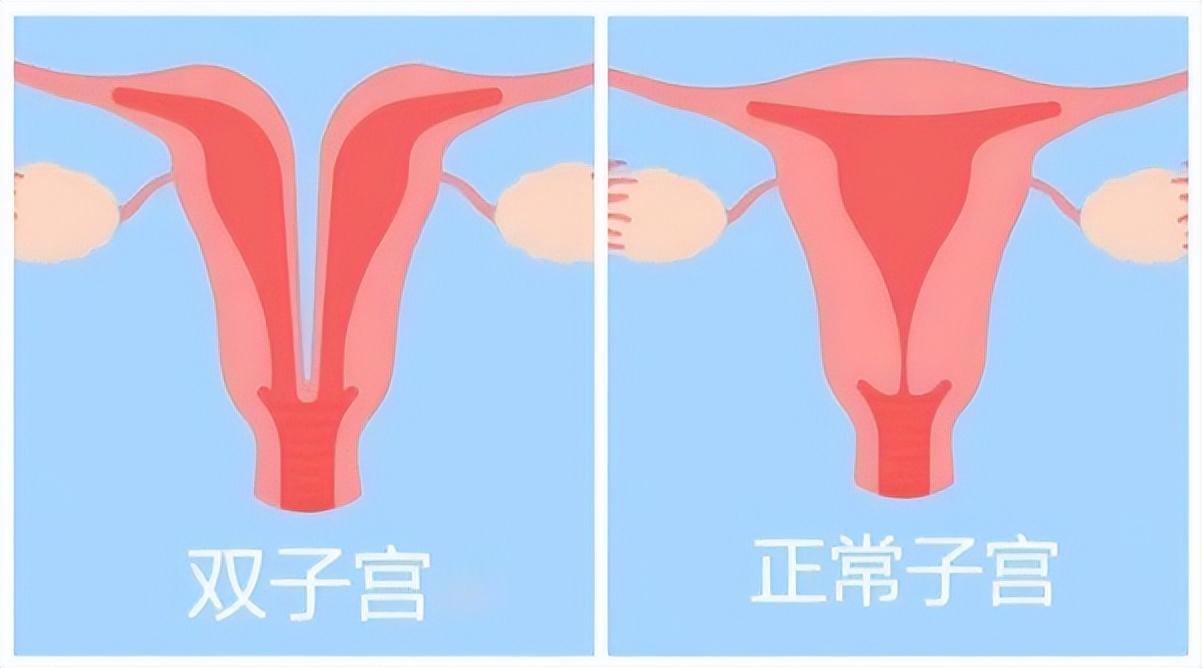 伸头探脑打一准确生肖，详细解答、详细解答解释落实