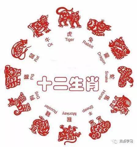 熟生巧巧则变变化多端不絮乱打一生肖请全面释义、解释与落实、深度解答解释落实