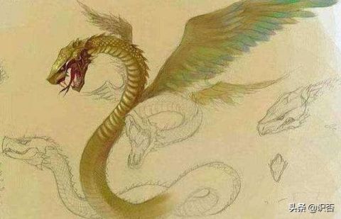 灵码二号最精彩，水中之物猜蛇龙打一准确生肖,警惕虚假宣传、全面解答、统计解答解释落实