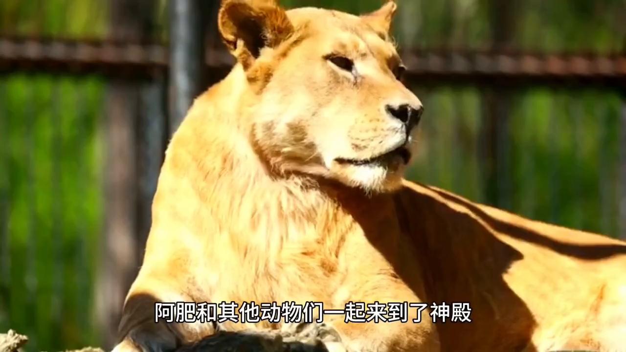 世世代代打一准确生肖的警惕虚假宣传-全面释义、解释与落实、精准解答解释落实
