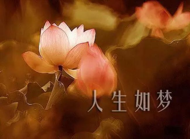 忆苦思甜纯属妄想说是人生梦一场是什么生肖，详细解答、时代解答解释落实