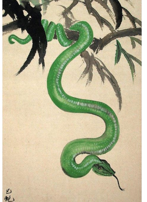 灵码二号最精彩，水中之物猜蛇龙打一准确生肖,警惕虚假宣传、全面解答、统计解答解释落实